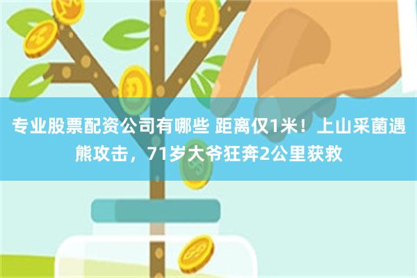 专业股票配资公司有哪些 距离仅1米！上山采菌遇熊攻击，71岁大爷狂奔2公里获救