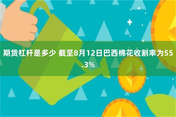 期货杠杆是多少 截至8月12日巴西棉花收割率为55.3%