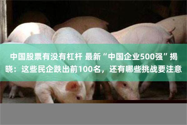 中国股票有没有杠杆 最新“中国企业500强”揭晓：这些民企跌出前100名，还有哪些挑战要注意