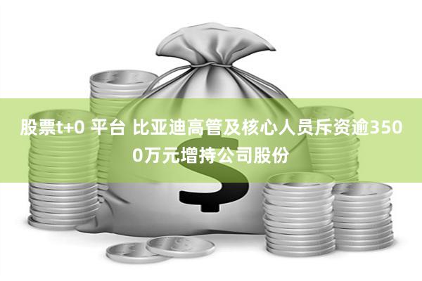 股票t+0 平台 比亚迪高管及核心人员斥资逾3500万元增持公司股份