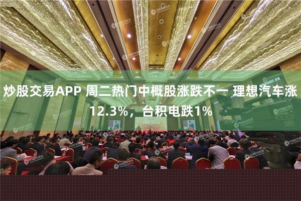 炒股交易APP 周二热门中概股涨跌不一 理想汽车涨12.3%，台积电跌1%