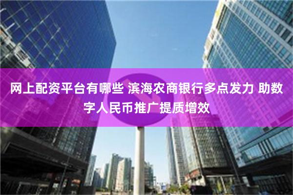 网上配资平台有哪些 滨海农商银行多点发力 助数字人民币推广提质增效