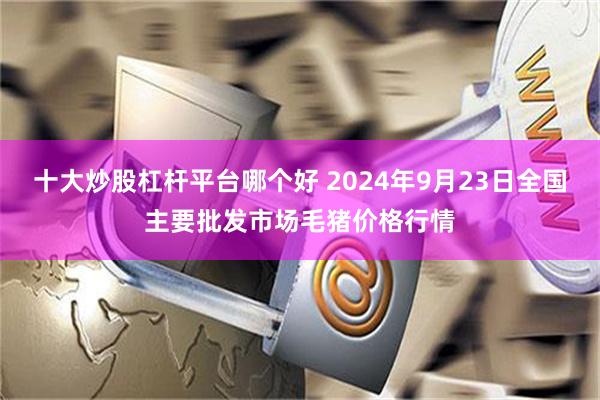 十大炒股杠杆平台哪个好 2024年9月23日全国主要批发市场毛猪价格行情