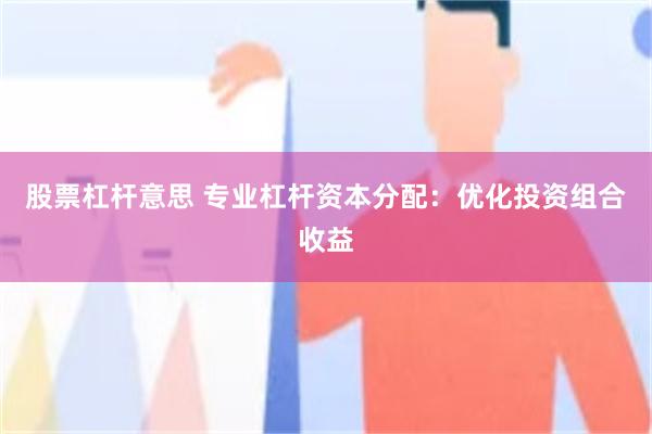 股票杠杆意思 专业杠杆资本分配：优化投资组合收益