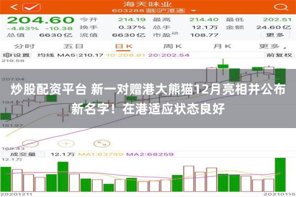 炒股配资平台 新一对赠港大熊猫12月亮相并公布新名字！在港适应状态良好