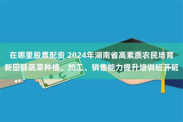 在哪里股票配资 2024年湖南省高素质农民培育新田县蔬菜种植、加工、销售能力提升培训班开班