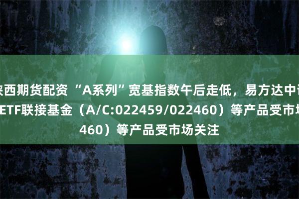 陕西期货配资 “A系列”宽基指数午后走低，易方达中证A500ETF联接基金（A/C:022459/022460）等产品受市场关注