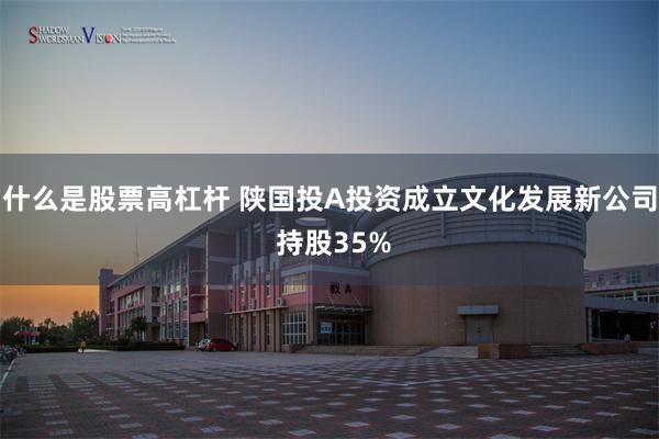 什么是股票高杠杆 陕国投A投资成立文化发展新公司 持股35%