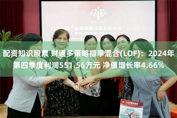 配资知识股票 财通多策略福享混合(LOF)：2024年第四季度利润551.56万元 净值增长率4.66%